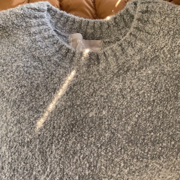 Everlane Teddy Wool Crew Neck Sweater - Picture 5 of 7